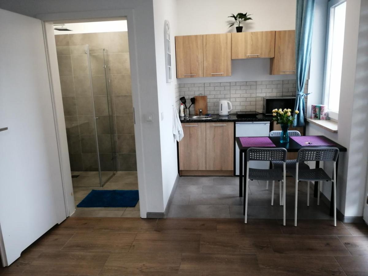 Pokoje - Studio Gliwice I Przy Onkologii Екстер'єр фото