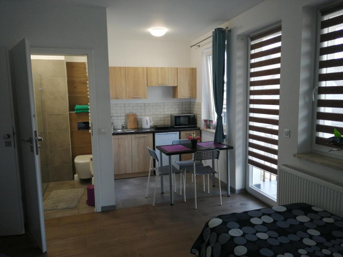 Pokoje - Studio Gliwice I Przy Onkologii Екстер'єр фото